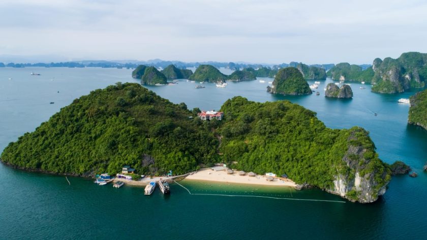 Vietnam Monkey Island: Is It Worth Visiting?