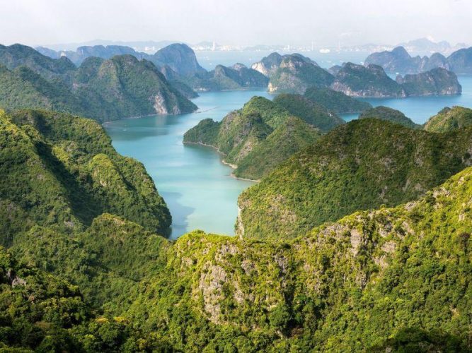 Cat Ba National Park: A Nature Lover's Paradise