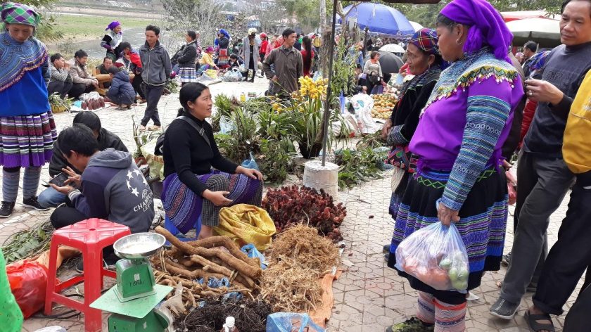 Bac Ha market