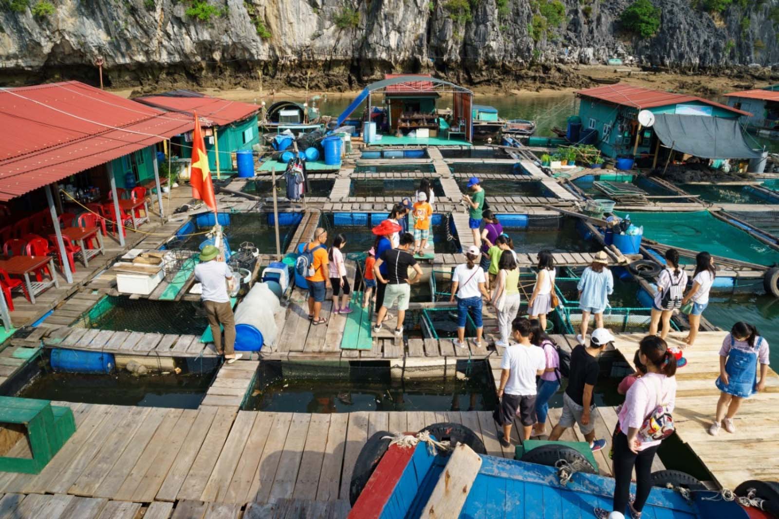 Cai Beo Floating Village: A Timeless Haven Of Peace and History ...