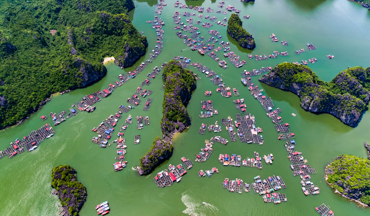 Cai Beo Floating Village: A Timeless Haven Of Peace and History ...