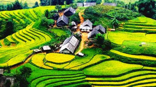 A day for trekking in Sapa