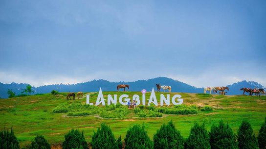 Lang Biang Mountain: An Adventure Awaits in Da Lat, Vietnam